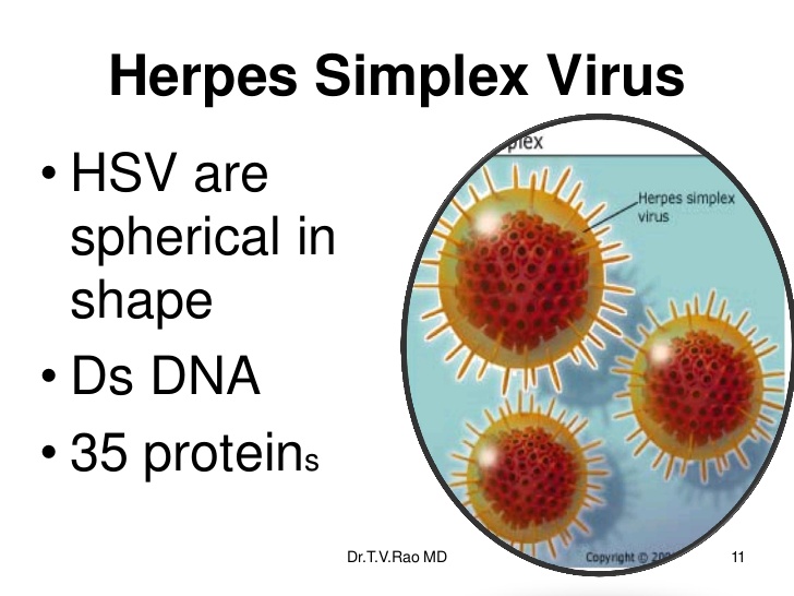راه اندازی تست PCR ویروس هرپس سیمپلکس نوع یک و دو